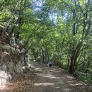 카페봄봄가산V | 한여름에도 시원한 대구 가산산성 트레일러닝 코스 추천｜진관문~한티재 26km 환종주 후기