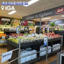 아이지에이 마트 | 호주 슈퍼마켓 IGA 아이쥐에이 마트 쇼핑 물가 라면 김치