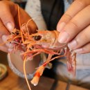 달달스테이 이미지