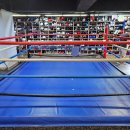 경희 복싱체육관 이미지