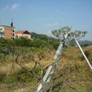 태미농장 이미지