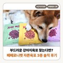 로니펫 | 부드러운 강아지육포 찾는다면? 페페로니펫 자른육포 3종 솔직 후기