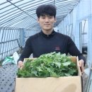 진고개농장 이미지