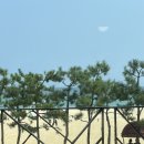 삼척전복해물뚝배기 이미지