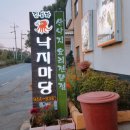 프로방스마을 맛집 &lt;김명자낙지마당&gt; 싱싱 산낙지철판볶음