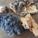 만물백화점 이미지