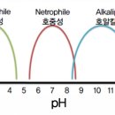 미생물의 생육과 pH 이미지