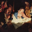 살롱 드 비숑 이미지