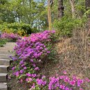 구룡산 | 서울 야경을 한눈에 볼 수 있는 구룡산 국수봉 초보자 등산 후기 (등산코스,소요시간, 꿀팁공유)