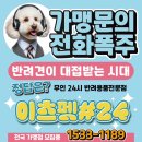 이츠펫 율량점 이미지