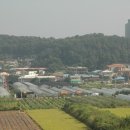 동산6세천 티스토리