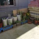 이엘농장 이미지