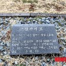 제주외가 이미지