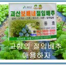 보배네