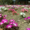 상문동 주민센터 이미지