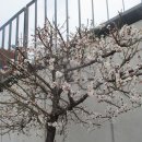 순천시청(별관) 이미지