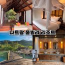 바람종 | 나트랑 풀빌라 리조트 추천 랄리아 닌반베이 L’Alya Ninh Van Bay 숙박 후기