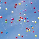 탑클래스 영어태권도장 이미지