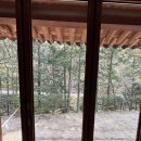 송광사 | 서울에서 송광사 직통버스 타고 떠난 봄 템플스테이 예약 준비물 후기