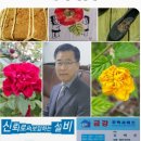 마이다스 주유소 이미지