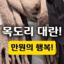 실른 SILN