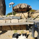 한개마을경로당 이미지