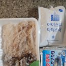 서해수산활어직판장 | 광주 오징어회 산오징어 포장 배달 맛집 천하수산활어직판장 포장 내돈내산 후기