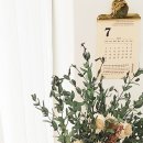 주정차단속-64 이미지