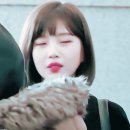 꽃길걷개 이미지