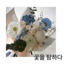청주 꽃집 :) 꽃을 탐하다