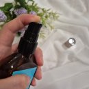 자연을 담은 오일 파스텔화 | 향기 좋은 헤어에센스 블라세아 아르간오일 사용법 건강한 모발 유지 후기