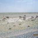 호탄(영) 이미지