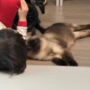 용천마을 (한국병원방면) | 블로그 제목 다들 어떻게 지으시나요 내공100