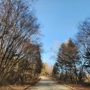 사슴목장 | 태백시 분위기 좋은 사슴목장 카페, 사슴을 가까이, "초록뿔언덕카페"