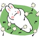 보동이네공방 이미지