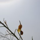 승리농장2 이미지