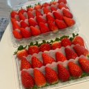 우리농산물 동부시장점 | [남촌농산물도매시장 과일] 딸기 비교 홍희 골드베리 비교 + 씨없는 청포도 후기