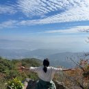 태평로55번길 이미지