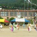 신도초등 이미지