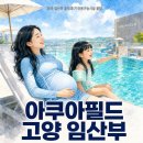 고양관광정보센터 루프탑 | 아쿠아필드 고양 임산부, 이것 모르고 가면 진짜 후회해요 | 36주 만삭 솔직 후기