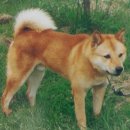 한성농원 이미지