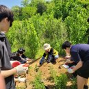 동성중학교 이미지