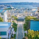 동백 이미지