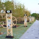 비비정 상생 도시숲 이미지