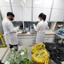 고양시농업기술센터 이미지