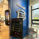 진펠리스