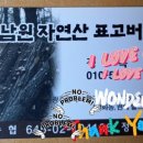 말바우표고버섯