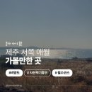 ,쉼 | [제주 서쪽 애월 여행 가볼만한곳] 뚜벅이 혼자 여행으로 다녀온 비양도 비양등대 비양봉 후기