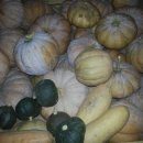 세한농장 이미지