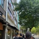 비스마르크 | (일산)포폴로피자/포폴로 클라시카/비스마르크/평일오픈런후기